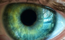 Närbild på ett öga – visar iris, pupill och ögonvita i detalj. Symboliserar ögats komplexitet och funktion.